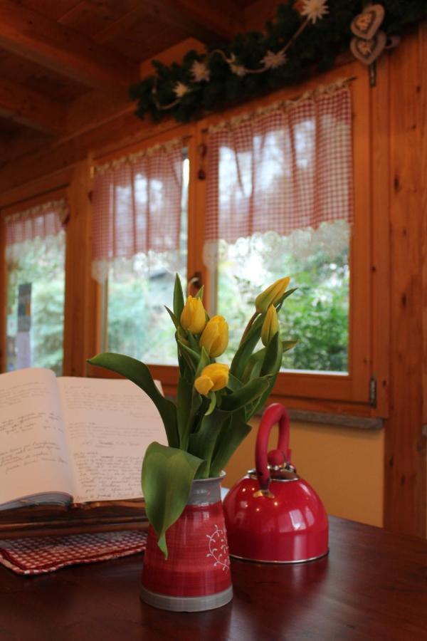 B&B Chez Annie Donnaz Extérieur photo